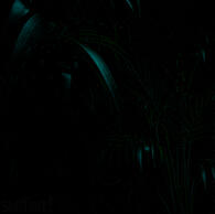 REFLECTIONS (Album cover art)